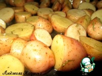 ������� ��������� � ������ ��-�������� �����������