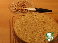 �������-��������� ���� �����������