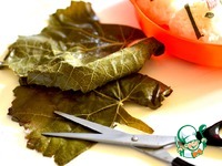 �� ������ � ����� � ������� �����������