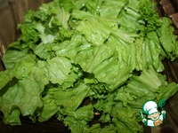 ����� �-�� ��������� � ������ ������� �����������