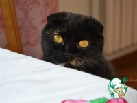 ������� ����� "�������" �����������