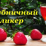 ���������� �����, ������ �������������