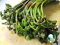 ����� �� ����������� "��������������� ��������" �����������