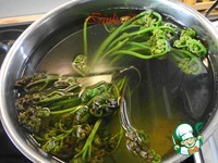 ����� �� ����������� "��������������� ��������" �����������