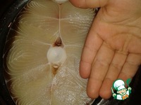 ����� "��������" �����������