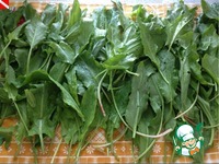 �������-������� �� ������� � ������� �����������