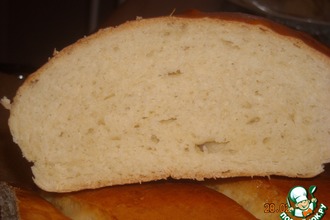 ������: ���� "�����������"