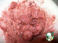 ����� ���������� �����������