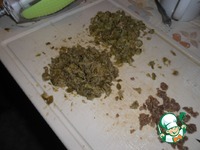 �������� � ���������, ����������� � ���������. "�� ���� � �����." �����������