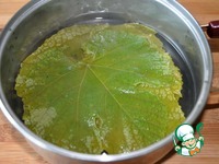 ������ � ����������� ������� �� ����� �����������