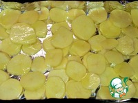 ����� ���������� �����������