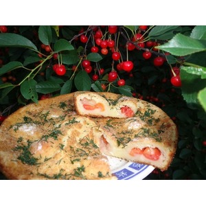 ����� "��������� ������ � ��������"