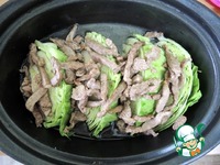 ������� � �������� �����������