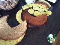 ���� "�������" �����������