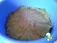 �������� �����������