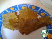 �������� �����������