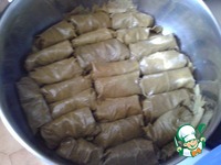 �������� �����������