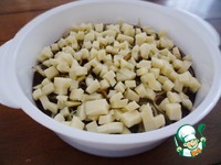 ���������-�������� ���� � ������� ���������� � ����� �����������