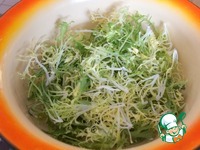 ����� "�����" � ������� �����������