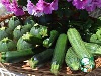 ������ �� ������� �����������