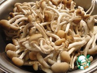 ����� ����� ��-�������� �����������