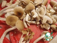 ����� ����� ��-�������� �����������