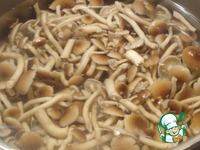 ����� ����� ��-�������� �����������