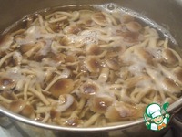 ����� ����� ��-�������� �����������