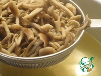 ����� ����� ��-�������� �����������