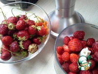 ���������� � ��������� � �������� �����������