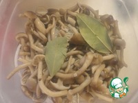 ����� ����� ��-�������� �����������