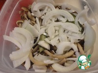 ����� ����� ��-�������� �����������