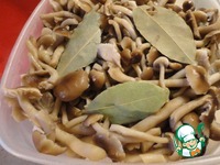 ����� ����� ��-�������� �����������