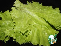 ����� "�������" � �������� �����������