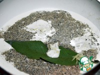 ������� � ������� ������� � ��������� �����������