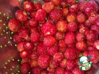 ���������� ���� �����������