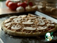 ����� � ���� ������� � ������� �����������