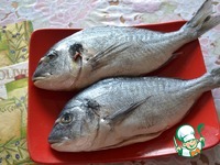 ������ � ����� ����� �����������