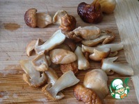 ������ ������� �����������