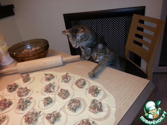 ��� ������� ���������. ����� ���������....