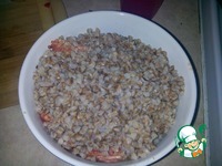 ������ � ��������-������� ������������� �����������