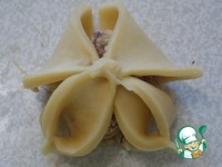 ������� �����������