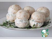 ���� �� ����������� �����������