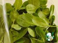 ������� � ������� � �������� �����������