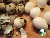 ����� � ������������ ������ �����������