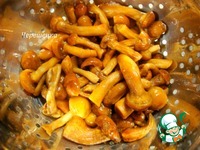 ����� � �������, ������� � ��������� �����������