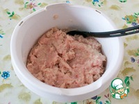 ����� � ������ �������� ������������� �����������