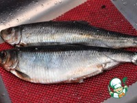 ������ ������� "�������������" �����������