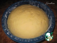 ����� "������" � ������ � ������� �����������