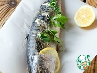 �������� � �������� ����� � ��������� � ����������� �����������